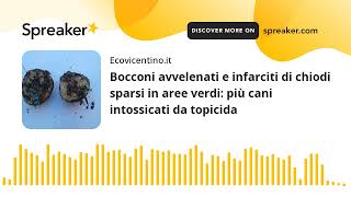 Bocconi avvelenati e infarciti di chiodi sparsi in aree verdi più cani intossicati da topicida [upl. by Noiwtna]