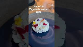 Noma 20  vegetable season 2022  one of the best restaurant in the world ！ [upl. by Assennej]