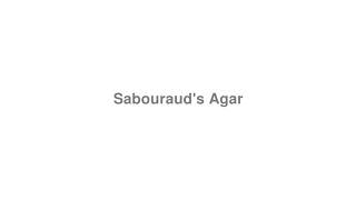 How to Pronounce quotSabourauds Agarquot [upl. by Acirema]