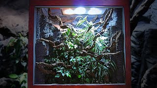 Reptile Vivarium Build Breakdown  Technical Details and Build Process Explained [upl. by Ecydnarb]