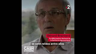 Lhypersensibilité au gluten mythe ou réalité cashinvestigationf2 [upl. by Adnilrem]