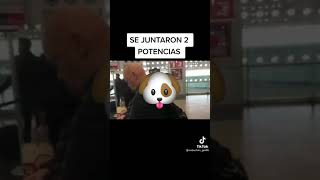 Martinoli se encuentra con el Perro Bermúdez en el aeropuerto [upl. by Obel]