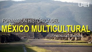 Formación histórica del México multicultural [upl. by Nnaaihtnyc279]