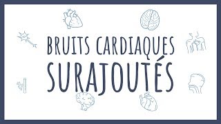 Sémiologie Cardiaque  Bruits surajoutés pathologiques [upl. by Akem]