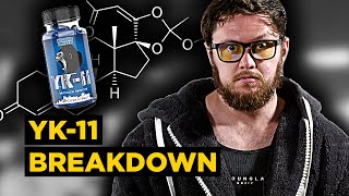 YK11 Myostatin Inhibitor Overview  Most UNSAFE Compound Known to Man Side Effects PEDucation [upl. by Nelo589]