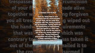 Colossians 21315 NKJV [upl. by Ecinnahs]