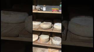 【カナダ】Wwoof in Canada on a self sufficiency farm Making cheese canada wwoof cheese farm [upl. by Aynad]