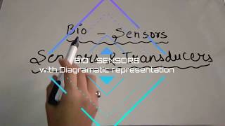 Bio Sensor explanation with Diagramatic representation [upl. by Ardnaeed713]