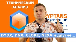 BTC ETH ADA DYDX DNX CLORE  и другие активы  еженедельный обзор криптовалют [upl. by Brottman]