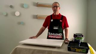 How To Paint A Cabinet Door  DIY At Bunnings [upl. by Ysus]