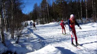 First test cut 2013 full HD Vasaloppet soft crashes 2013 Risberg slow speed vurpor [upl. by Barstow]