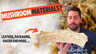 Mycelium Technology What Materials Will Mushrooms Replace [upl. by Devy]