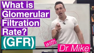 Glomerular Filtration Rate GFR  Renal System [upl. by Aenert]