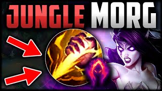 MORGANA JUNGLE STINGS NOW Buffed Dark Harvest How to Play Morgana Jungle amp Carry Season 14 [upl. by Atinehs834]