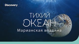 Тихий океан Марианская впадина  На дне океана  Discovery [upl. by Hodgkinson]