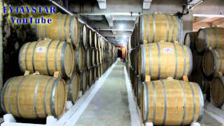 Yerevan Ararat BrandyWineVodka Factory quotNOYquot Tour [upl. by Zilevi]