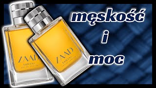 PERFUMY MĘSKIE  Stosunek ceny do jakości 💪 [upl. by Zolner]