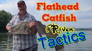 Catching huge flathead catfish using cut bait [upl. by Inihor759]