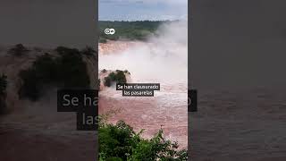 Fuerte crecida del agua en las Cataratas del Iguazú [upl. by Antoine]