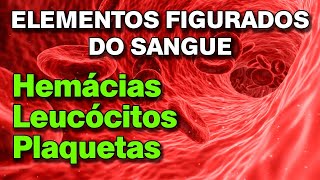 Hemácias  Leucócitos  Plaquetas Os elementos figurados do sangue [upl. by Ethyl]