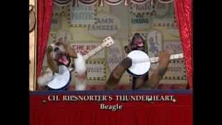 Triumph the Insult Comic Dog  1st time on TV [upl. by Mailand]