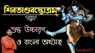 SHIV TANDAVA STOTRAM  POWERFUL TABLA COVER [upl. by Fidelas]