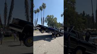 lowrider lowriders lowriding justlowriders lowriderlifestyle westcoast hopper hopping [upl. by Wight]