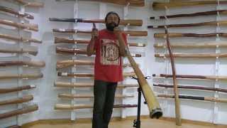 How to Create Didgeridoo Rhythms with Gumaroy Newman [upl. by Asli]