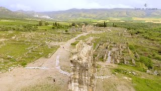 Maroc Tout savoir sur le Volubilis [upl. by Jethro]