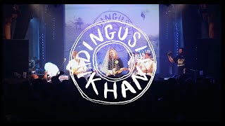 Dingus Khan  Japanese Fighting Bugs Live [upl. by Betteann]