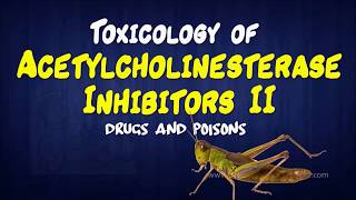 Toxicology of Acetylcholinesterase Inhibitors II  Drugs and Poisons [upl. by Virgilia452]