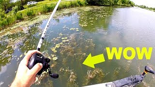 BASS FISHING a Small Lake with HUGE Potential [upl. by Cavil]