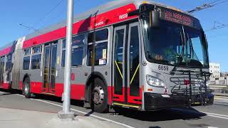 Buses in San Francisco California 2022 [upl. by Wyly]