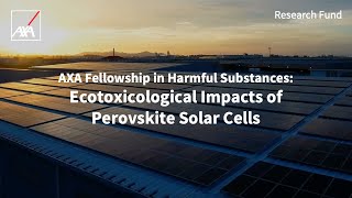 AXA Fellowship  The Ecotoxicological Impact of Perovskite Solar Cells  AXA Research Fund [upl. by Manup]