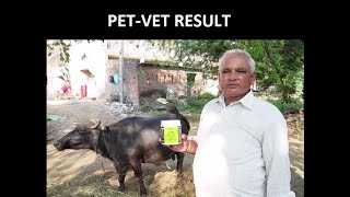 Netsurf PetVet Result 100 ORGANIC PRODUCTS [upl. by Iadahs]