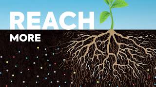 REACH MORE nutrients and water with AGTIV MYCORRHIZAE [upl. by Ailisab]