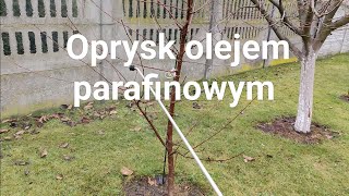 Oprysk olejem parafinowym [upl. by Yanffit]