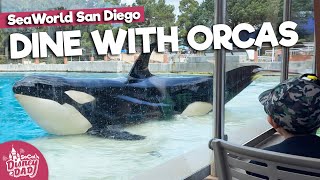 Dine with Orcas Review Is it Worth it  SeaWorld San Diego 2022 [upl. by Narat]