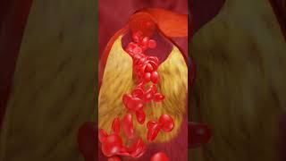 How Blood Flows Inside Your Body ANIMATION [upl. by Averat]