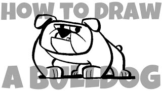 How to Draw a Bulldog [upl. by Sinoda]