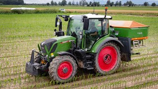 Fendt 314 Vario  Amazone ZATS 2600  Saatmais düngen [upl. by Labinnah626]