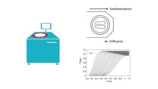 Beckman Coulter Introduction to Analytical Ultracentrifugation [upl. by Anhsirk205]