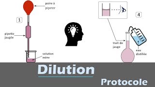 Dilution  🧪 Protocole  chimie [upl. by Aniger]