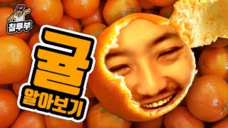 귤Mandarin orange에 대해 알아보자 [upl. by Coombs772]