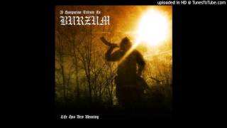 Aetherius Obscuritas  Ea Lord of the Depths Burzum cover [upl. by Ylevol]