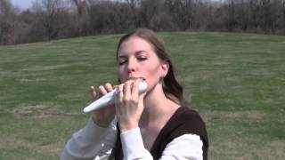 Rohan Theme from the Lord of the Rings on STL Ocarina [upl. by Oyek]