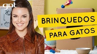 Dicas de brinquedos para gatos fáceis de fazer  Faça Você Mesmo  Thalita Carvalho [upl. by Yffat156]