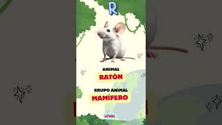 El Abecedario de los Animales  Letra R 🐾 [upl. by Alimaj971]