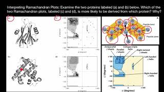 Ramachandran plot explanation and analysis [upl. by Ecnerwal]