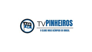 Campeonato Paulista de Basquete Pinheiros Vs Sesi Franca [upl. by Anividul]